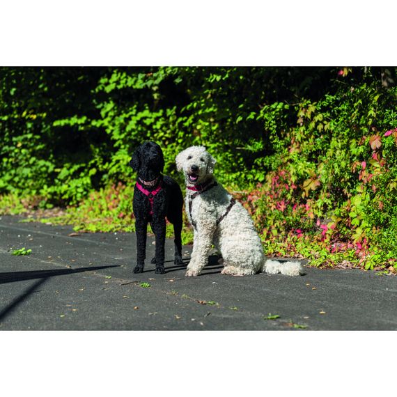 Шлея Trixie Premium для собак червона S–M 42–60 см х 15 мм | Зображення 1