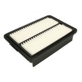 Воздушный фильтр для автомобиля Mann C24054