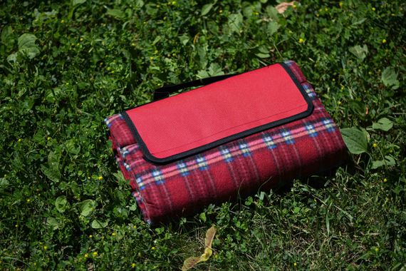 Плед Ardesto Picnic 130х170см, 100% поліестер, клітинка червоний (ART0916RC) | Зображення 4