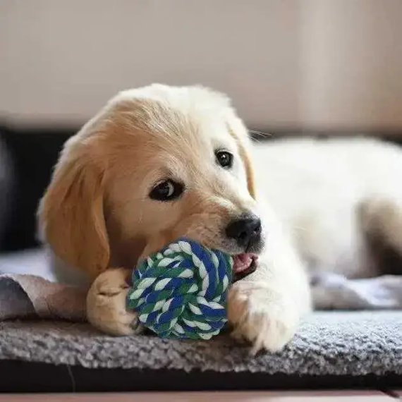 Игровой набор для собак Набор игрушек 17 в 1 - для мелких, средних и крупных пород | Зображення 2