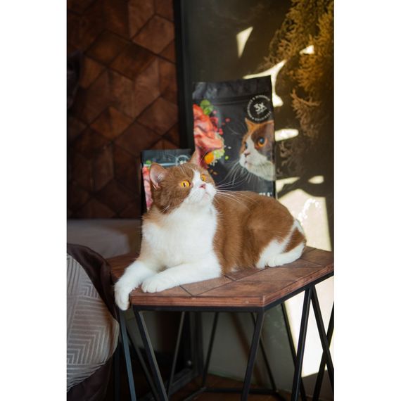 Корм сухий Savory Adult Cat Sensitive Digestion Fresh Lamb and Turkey для дорослих котів з чутливим травленням з ягнятиною т | Зображення 4