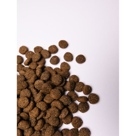 Корм сухий Savory Junior Large rich in Fresh Turkey and Chicken для молодих собак великих порід від 25 кг зі свіжою індичкою | Зображення 4