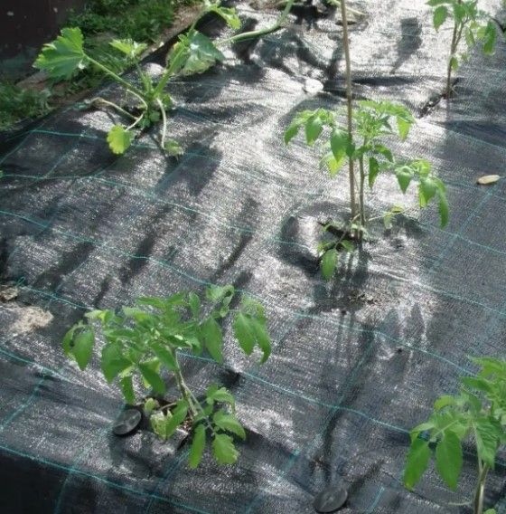 Агротканина Shadow 100 г/м² 1,7 x 50 м АТЧ00002 | Зображення 4