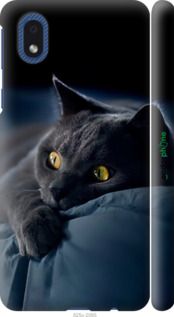 Чохол на Samsung Galaxy A01 Core A013F Димчастий кіт "825m-2065-2448"