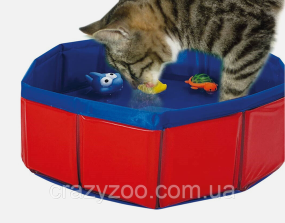 Бассейн для котов Nobby Pool & Toys Cats с игрушками 30x11 см 62290 | Зображення 1