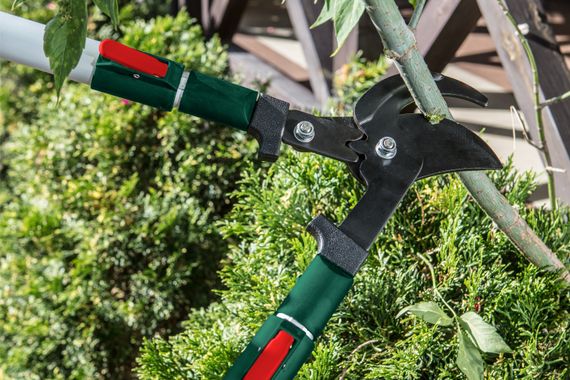 Секатор-сучкоріз Verto телескопічний 15G253 | Зображення 2