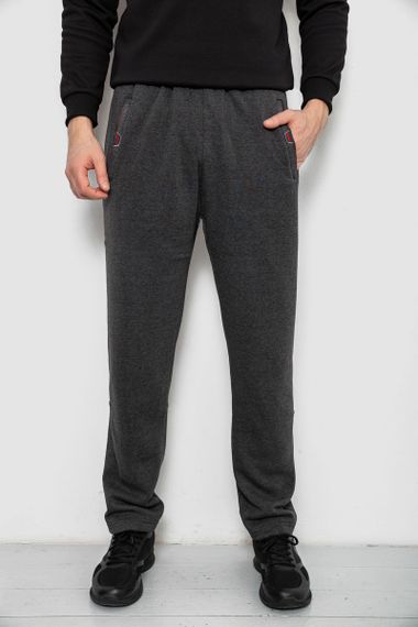 Спортивные штаны мужские на флисе, цвет серый, 244R41597