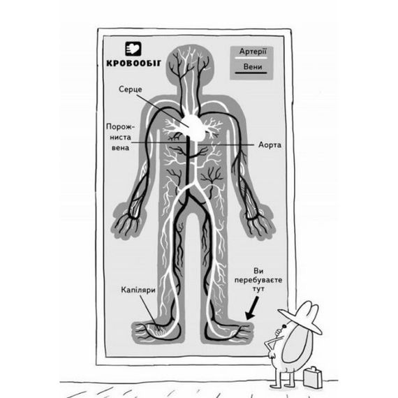 Энциклопедия дошкольника "Анатомия для детей" 154101 | Зображення 3