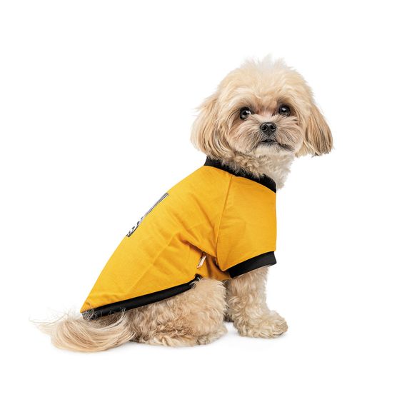 Футболка Pet Fashion Jessica для собак бавовна трикотаж жовта XXS | Зображення 1
