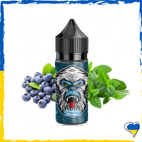 Набір для самозамісу Flavorlab RF350 Salt Blueberry Menthol 30 мл (5%)