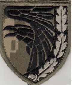 Шеврон 93 ОМБр Холодный Яр Пиксель