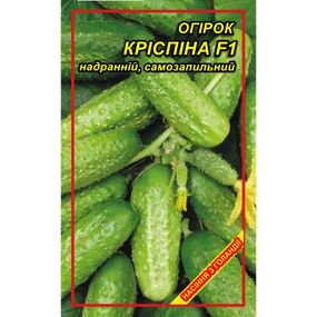Насіння огірка Кріспіна F1 5 шт.