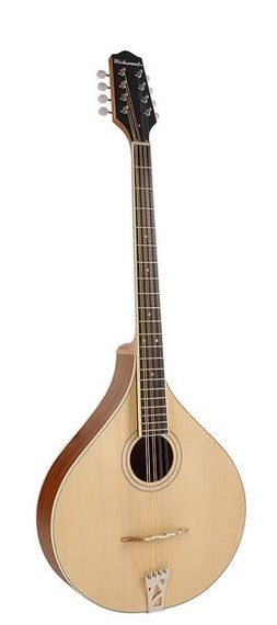 Мандоліна Richwood RIMA-40
