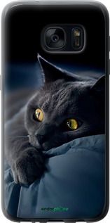 Чохол на Samsung Galaxy S7 G930F Димчастий кіт "825u-106-2448"