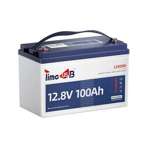 Акумуляторна батарея LiFePO4 Timeusb 12.8V 100Ah Low-Temp, 1280Wh, BMS 100A