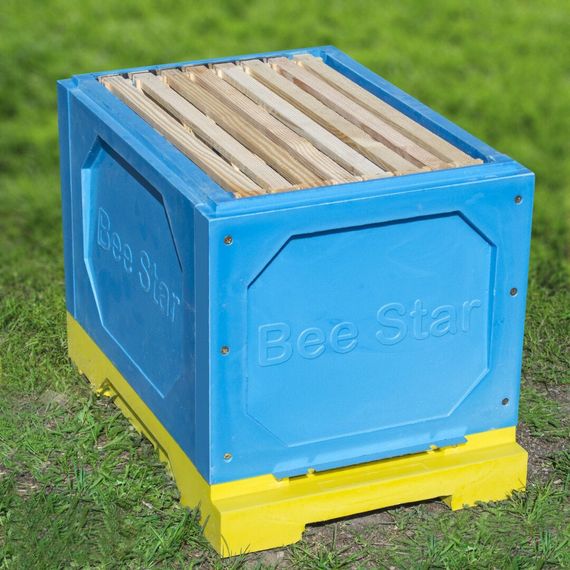 Вулик ППУ “BeeStar” 8 рамок 2 корпуси Дадан – кольоровий | Зображення 3