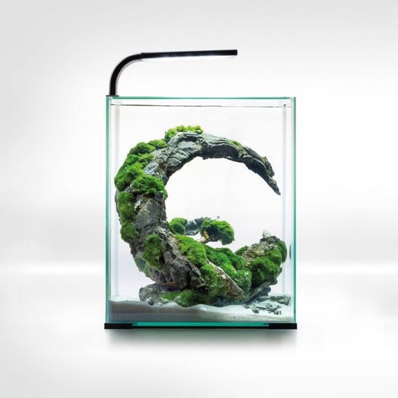 Акваріум Aquael Smart Day Night для креветок прямий білий 10 л | Зображення 1