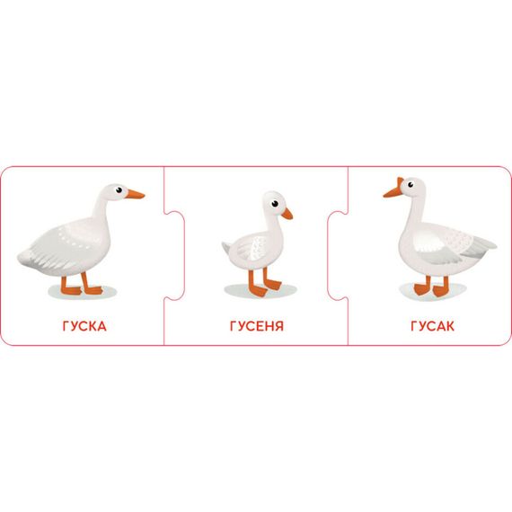 Логічні ланцюжки "Малюки тварини та їхні сім'ї" 1782001 українською мовою | Зображення 4