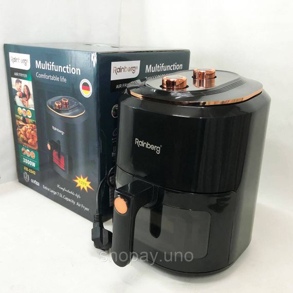 Фритюрниця для картоплі фрі професійна Rainberg RB-2242 на 6 л 3800 Вт, Фритюрниця гарячим повітрям ZB-59 | Зображення 1