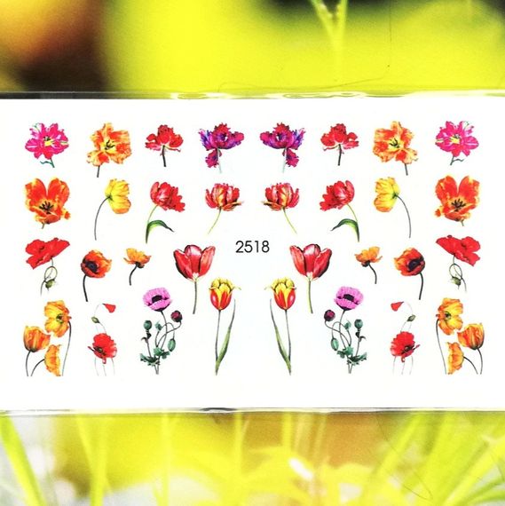 Слайдер 2518 на водяній основі