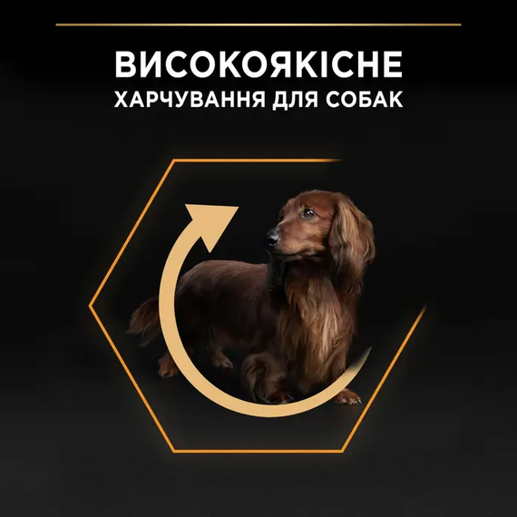 Сухий корм Purina PRO PLAN Small&MiniAdult Everyday Nutrition для дорослих собак дрібних порід, курка 700г | Зображення 3