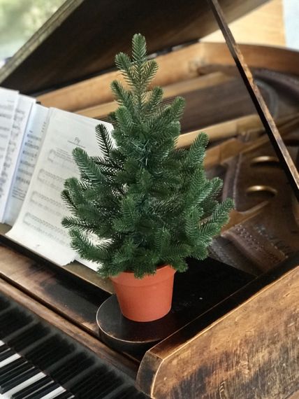 Ялинка Traditional лита  у горщику 50 см зелена новинка