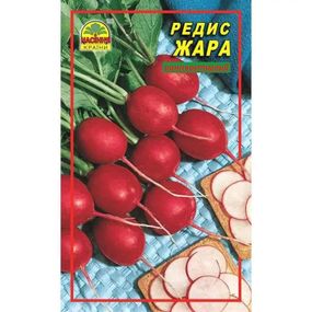 Насіння редису Жара 3 г (Насіння країни)