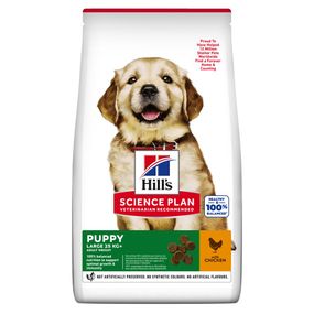 Корм Hill's Science Plan Puppy Large Breed Chicken сухий з куркою для щенят великих та гігантських порід 14.5 кг