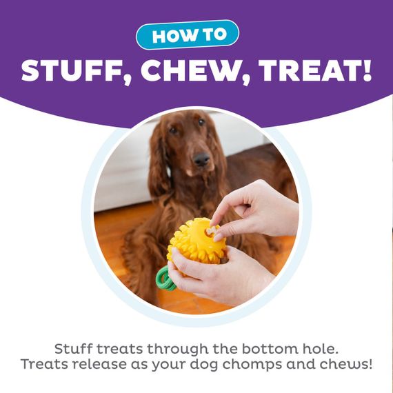 Іграшка для собак Outward Hound Dental Pineapple Dental Chew Toy, 16.5 см | Зображення 3