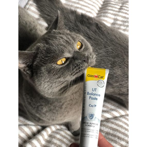 Вітаміни GimCat Expert Line UT Balance для котів паста для нирок та сечовивідних шляхів 50 г | Зображення 4