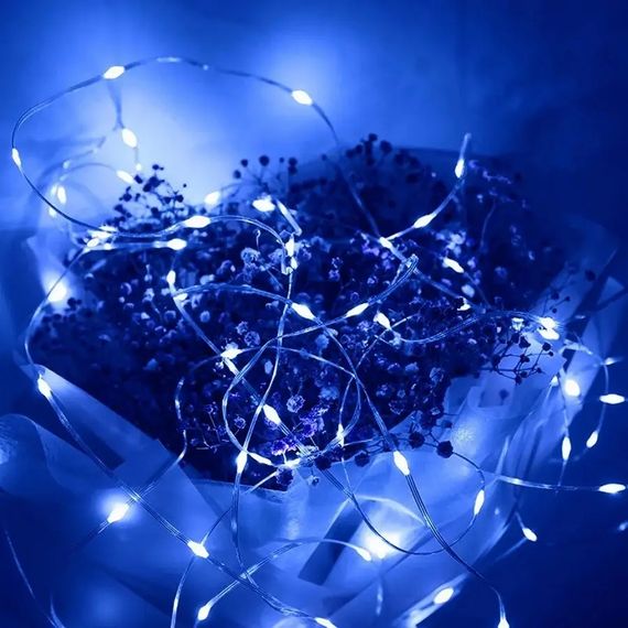 ПРОЗРАЧНЫЙ провод Гирлянда 500 (450*25*4501*25м ) Синий XL-53-5 ∙ Гирлянда LED 500 прозрачный провод 450+25+4501+25 м синий свет | Зображення 1
