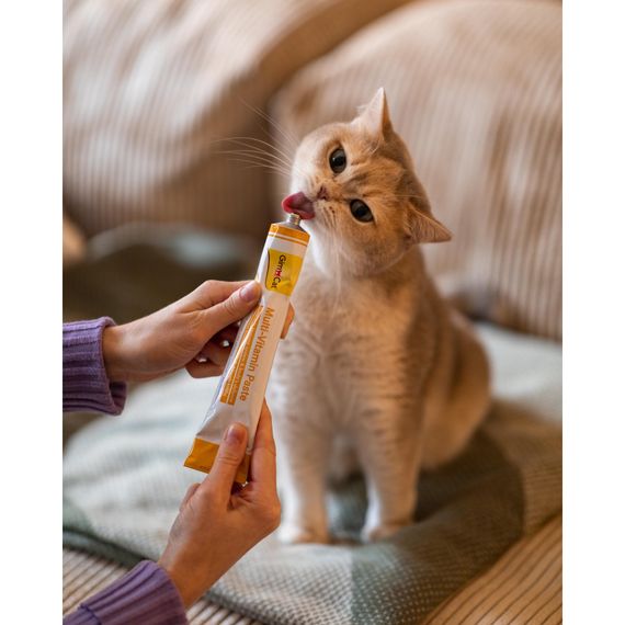Вітаміни GimCat Every Day мультивітамінна паста для котів для покращення імунітета 200 г | Зображення 4