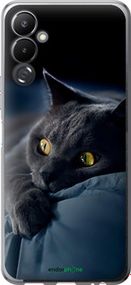 Чохол на Tecno Pova 4 LG7n Димчастий кіт "825u-2967-2448"