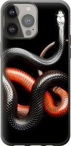 Чохол для Apple iPhone 13 Pro Max з силікону FCh_030837