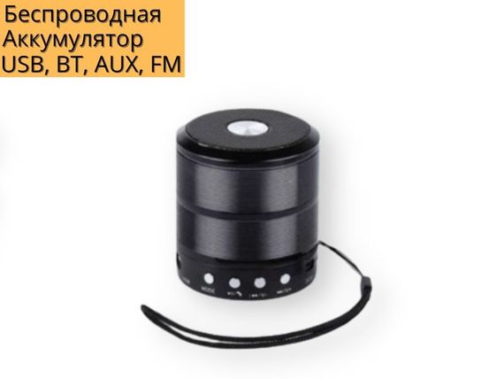 Портативна колонка XPRO WS 887 акумуляторна з USB, SD, Bluetooth, FM чорний (WS 887 bluetooth) | Зображення 1