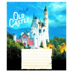 Тетрадь общая "Старые замки" 048-600179L-4 в линию, 48 листов (959060)