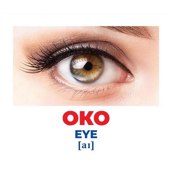 Набір розвиваючих карток Геній з пелюшок "Будова структура" Ранок 10107202, 17 карток | Зображення 1