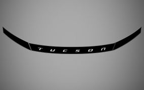 Молдинг, мухобійка, орнамент, лого на капот HYUNDAI TUCSON 22-23, HYTU22DEL