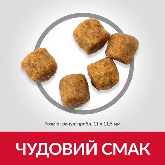 Сухой корм Hill's Science Plan для взрослых собак средних пород с ягненком и рисом 14 кг | Зображення 3