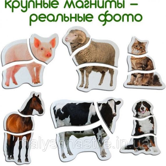 Магнитные пазлы Magdum  "Ферма" ML4031-19 EN | Зображення 5