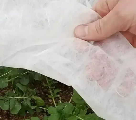 Полотно прошите до парника Shadow 60 г/м² 2.1 x 5 м ПОЛОТ000231 | Зображення 1