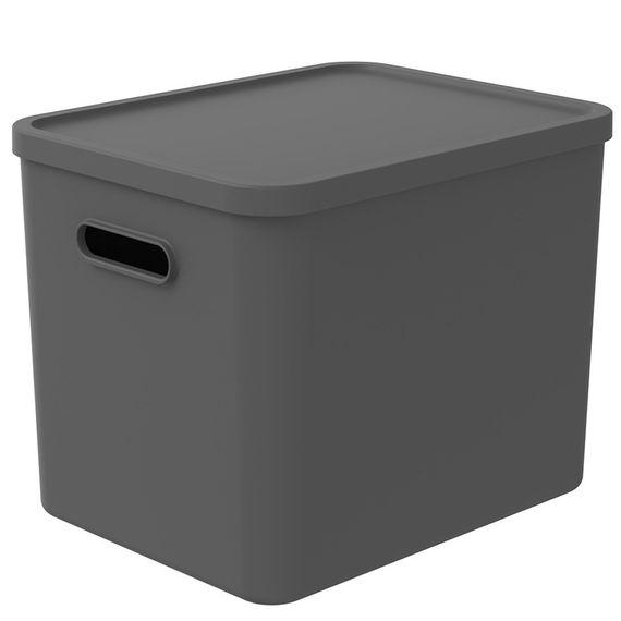 Контейнер для хранения вещей с крышкой Rotho (Рото) Albula 27 л (10631) Серый