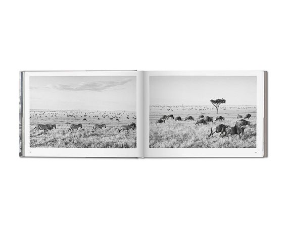 Книга о документальной фотографии Себастьяна Сальгадо Африка Sebastiao Salgado "Africa" книги по фотографии | Зображення 2