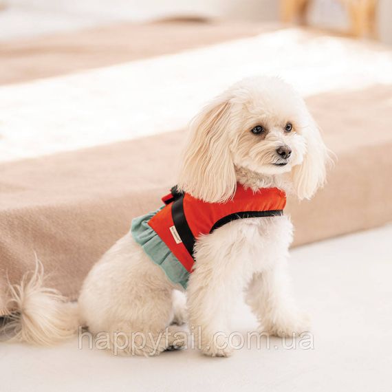 Шлея Monika ТМ Pet Fashion для собак XS2 | Зображення 3