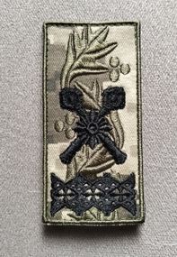 Погон генерал армії України (піксель)