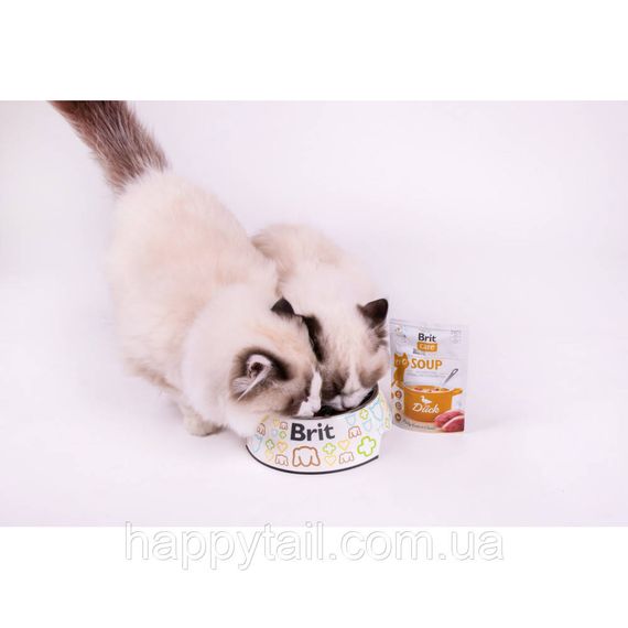 Корм влажный Brit Care Soup Duck д/котов суп с уткой 75 г | Зображення 4