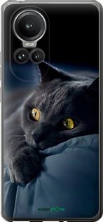 Чохол на Oppo Reno10 Pro Димчастий кіт "825u-3109-2448"