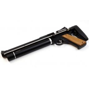 Artemis SPA PP750 + насос