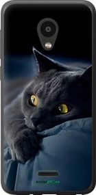 Чохол на Meizu C9 Димчастий кіт "825u-1627-2448"