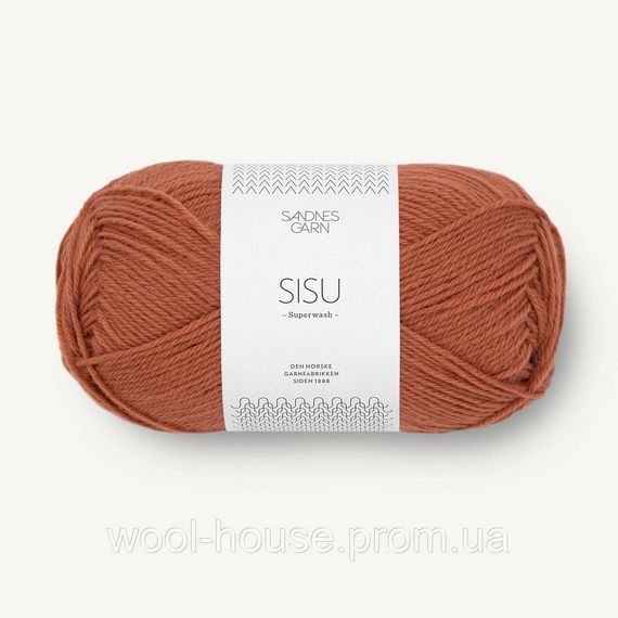 Шкарпеткова пряжа Sandnes Garn Sisu 50 г, 3544